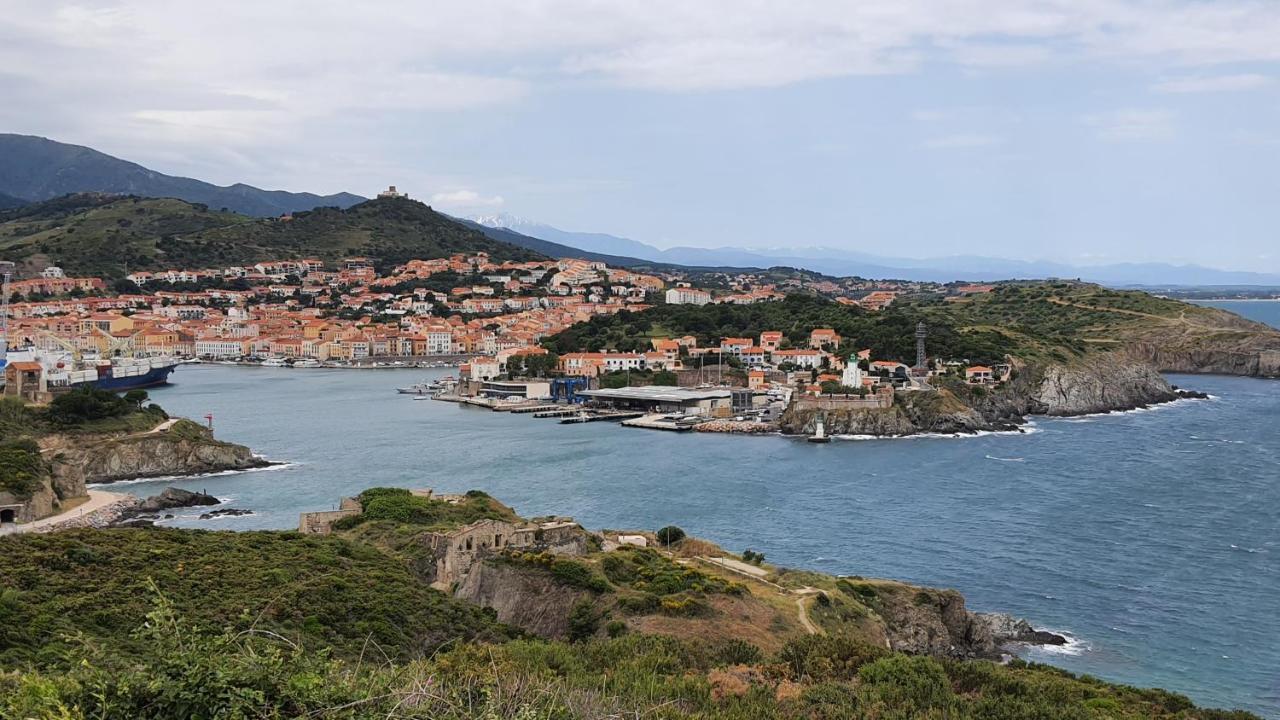 L'Escapade, Port A 200M, Climatisation Et Balcon Lejlighed Port Vendres Eksteriør billede
