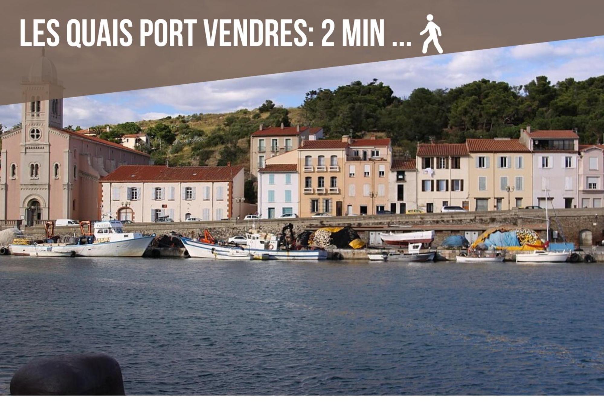 L'Escapade, Port A 200M, Climatisation Et Balcon Lejlighed Port Vendres Eksteriør billede